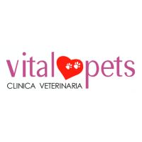 https://establecimientos.dinersclub.pe/storage/establecimiento/118705-vital-pets-vital-pets.jpg